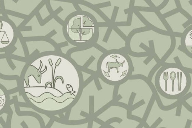 Grant for Agroecology Program (GAP)- Challenge Fund Round 1